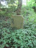 image of grave number 261913